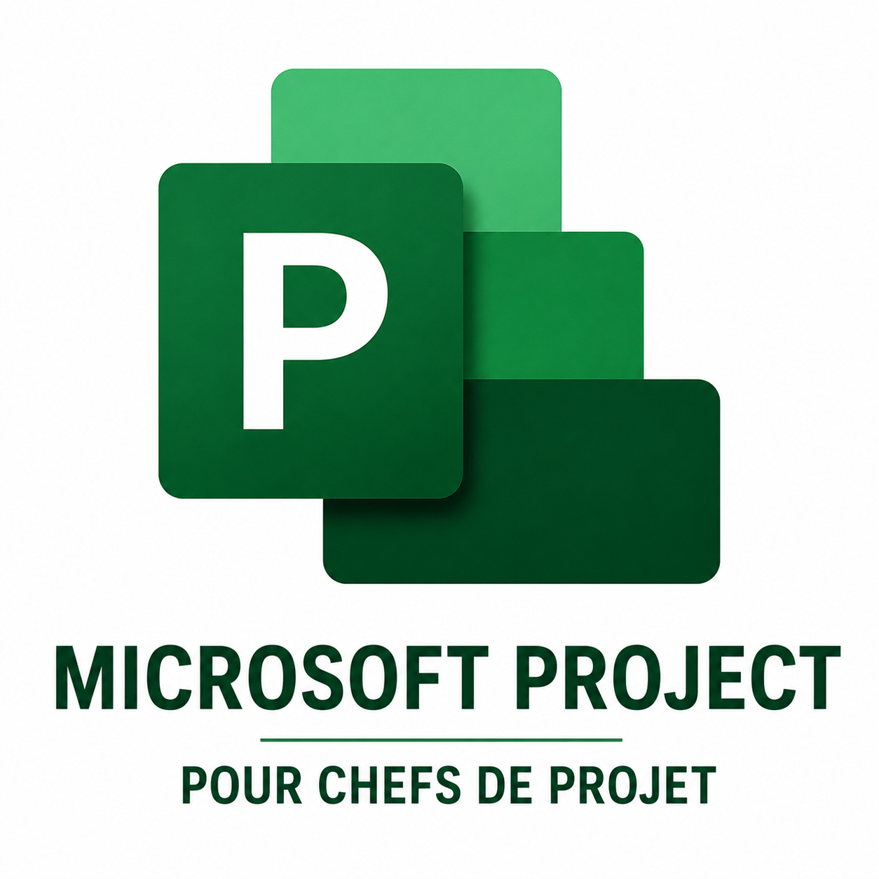MS Project pour Chefs de Projet